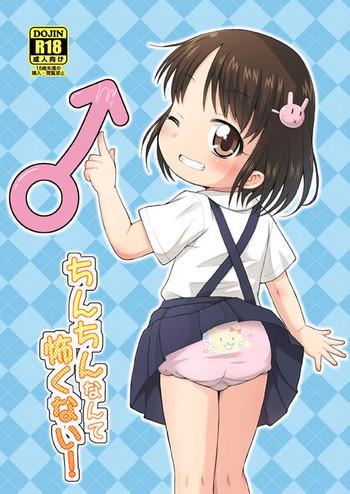 chinchin nante kowakunai cover