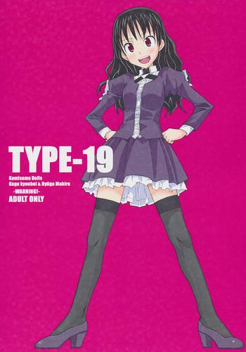 type 19 cover