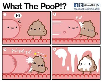 what the poop cover