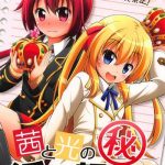 akane to hikari no maruhi katsudou houkoku cover
