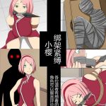 sakura kidnapping case cover