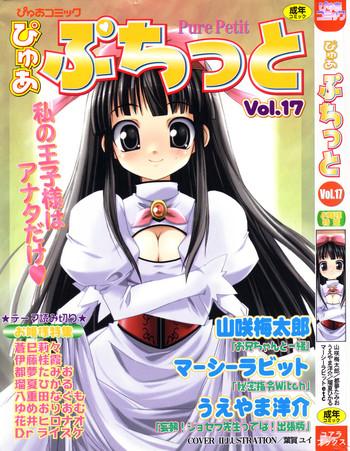 pure petit vol 17 cover