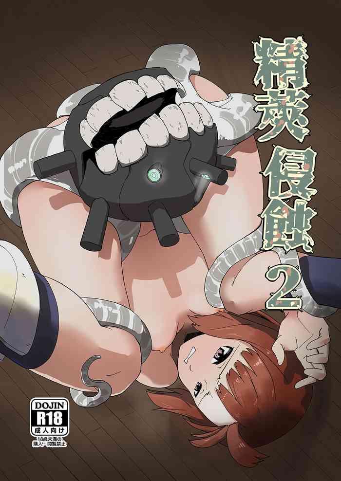 seikyou shinshoku 2 cover