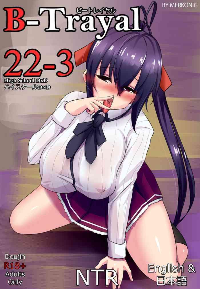 merkonig b trayal 22 3 highschool dxd english cover