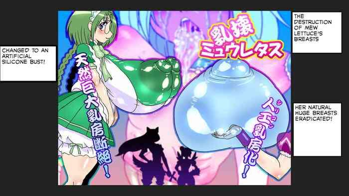 mizuiro zenmai nyuukai mew lettuce tokyo mew mew rinrin translations cover