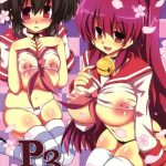 p3 cover