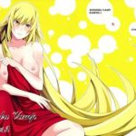 shinobu vamp diaries 2 cover