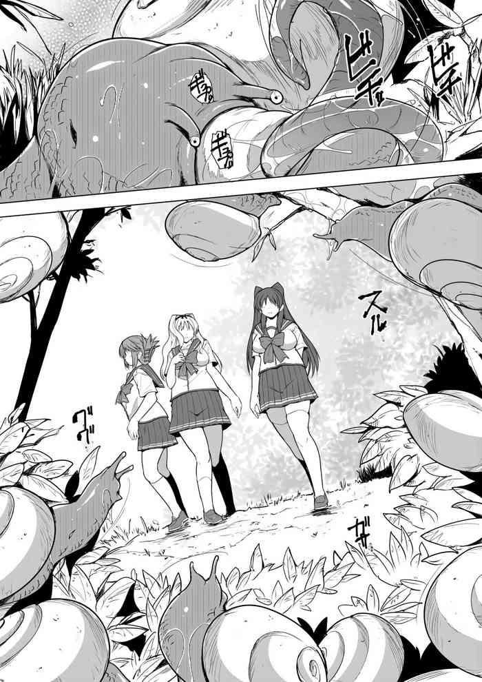 ss cover