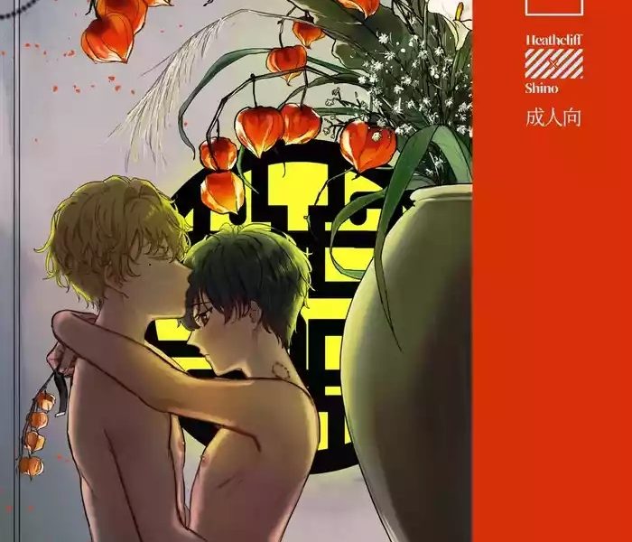 hedate cover