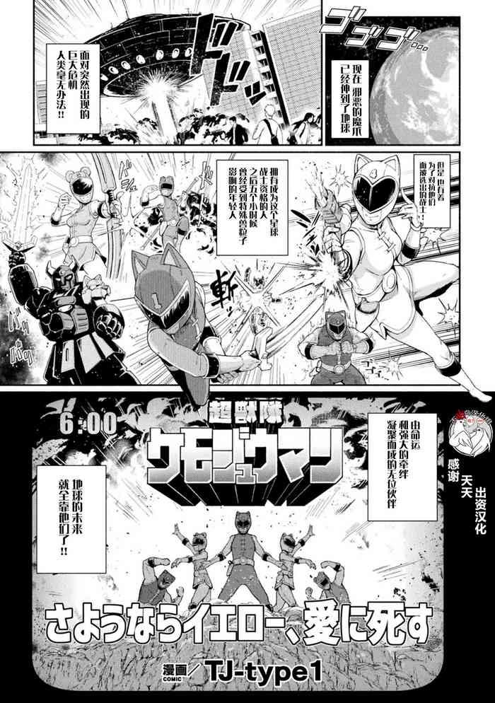 323559 cover