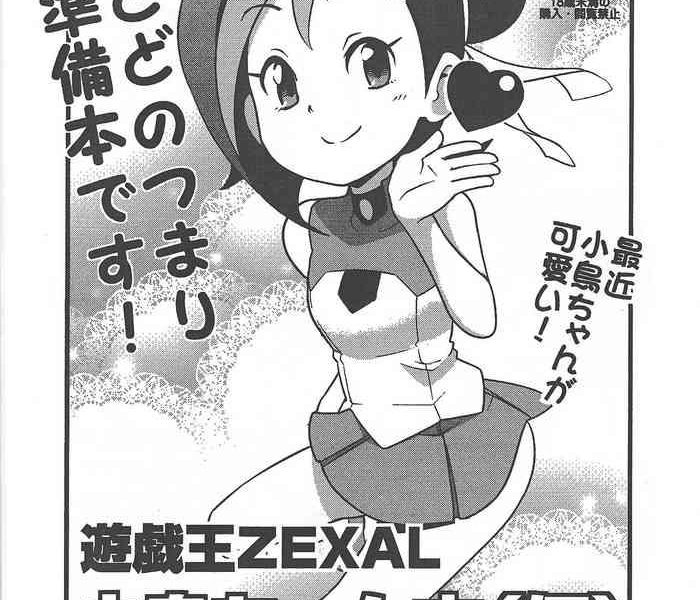 puniket 23 funi funi lab tamagoro yu gi oh zexal kotori chan book tentative yu gi oh zexal cover