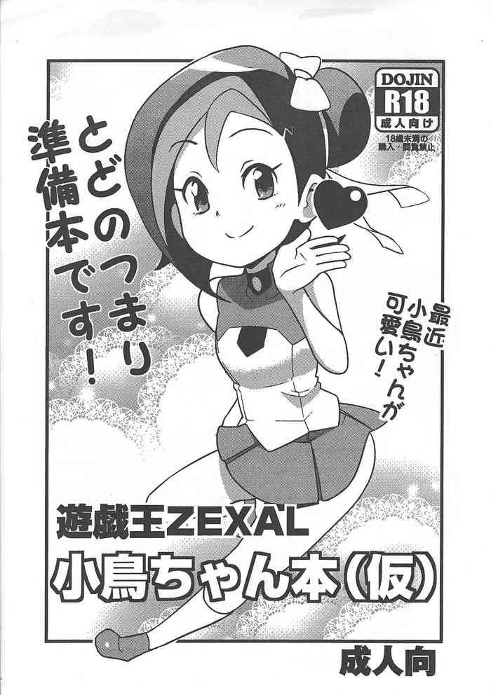 puniket 23 funi funi lab tamagoro yu gi oh zexal kotori chan book tentative yu gi oh zexal cover